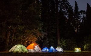 camping foret des landes