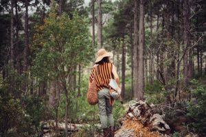 foret au printemps